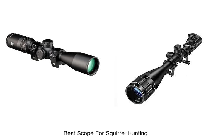best scope for squirrel hunting