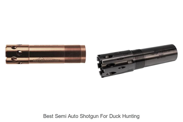 best semi auto shotgun for duck hunting