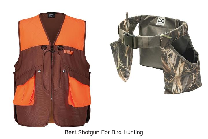 best shotgun for bird hunting