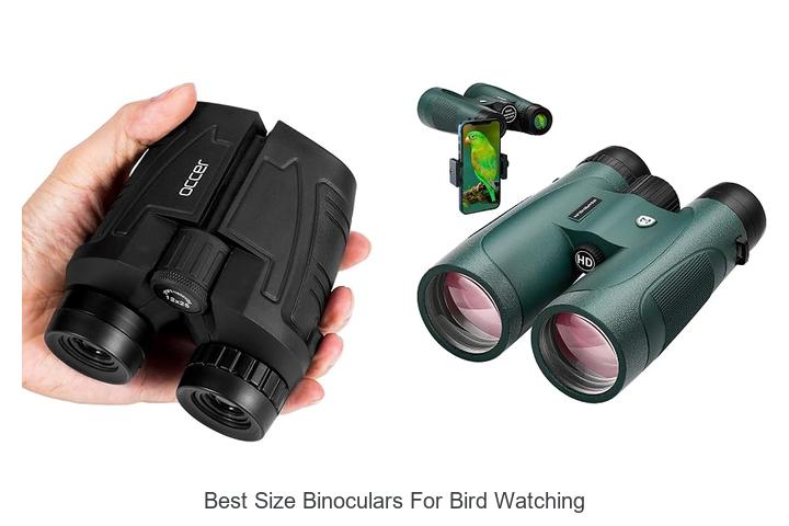best size binoculars for bird watching