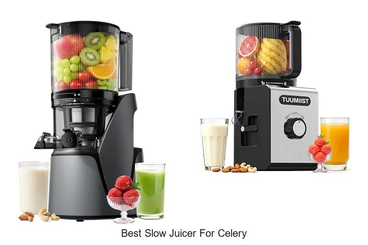best slow juicer for celery