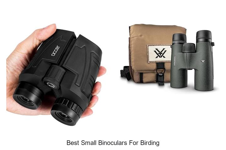 best small binoculars for birding