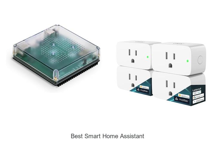 best smart home assistant