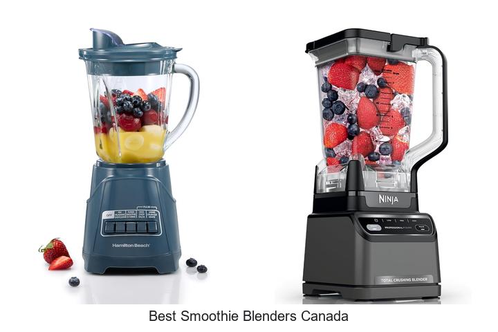 best smoothie blenders canada