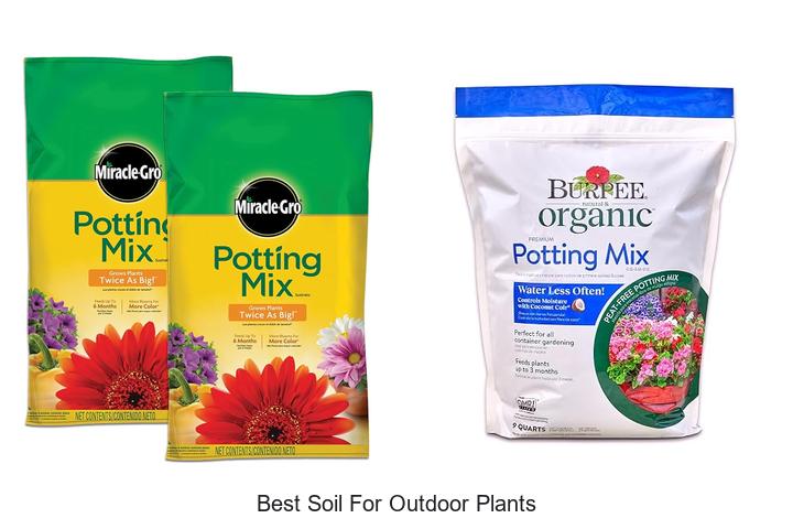 best soil for outdoor plants