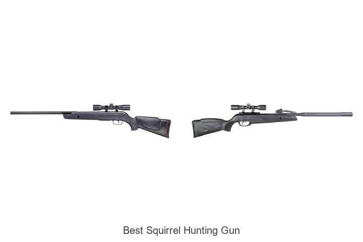 best squirrel hunting gun