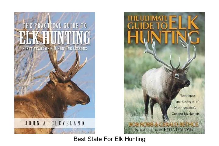 best state for elk hunting