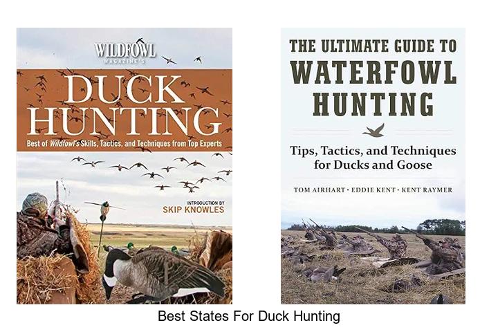 best states for duck hunting