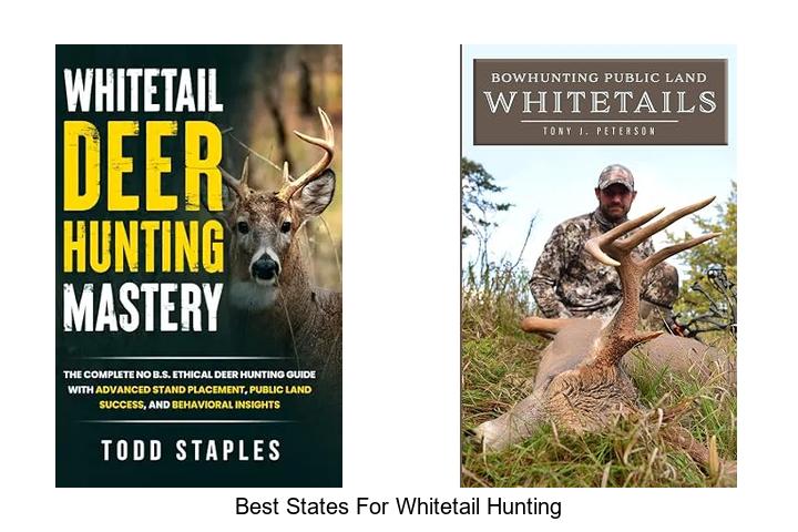 best states for whitetail hunting