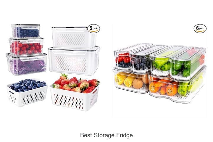 best storage fridge