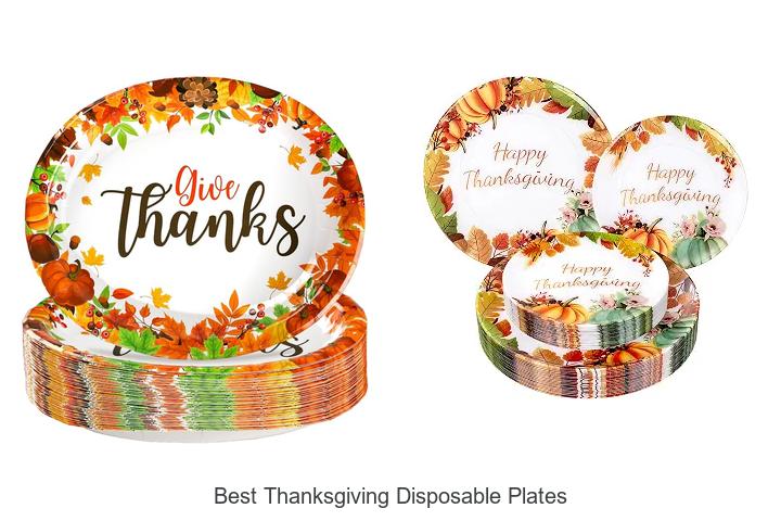 best thanksgiving disposable plates