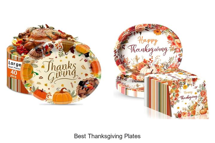best thanksgiving plates