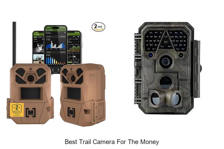 best trail camera for the money
