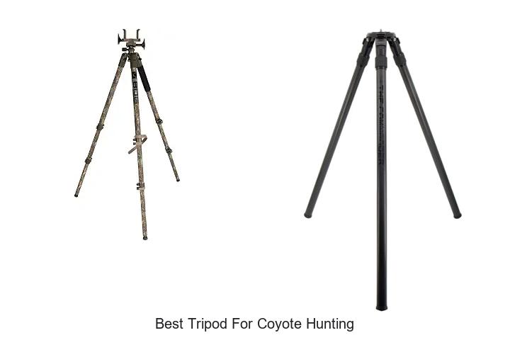 best tripod for coyote hunting