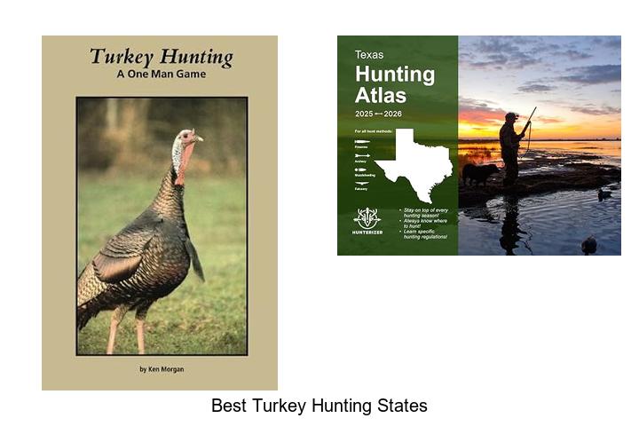 best turkey hunting states