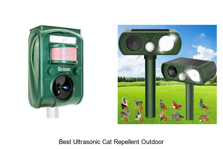 best ultrasonic cat repellent outdoor