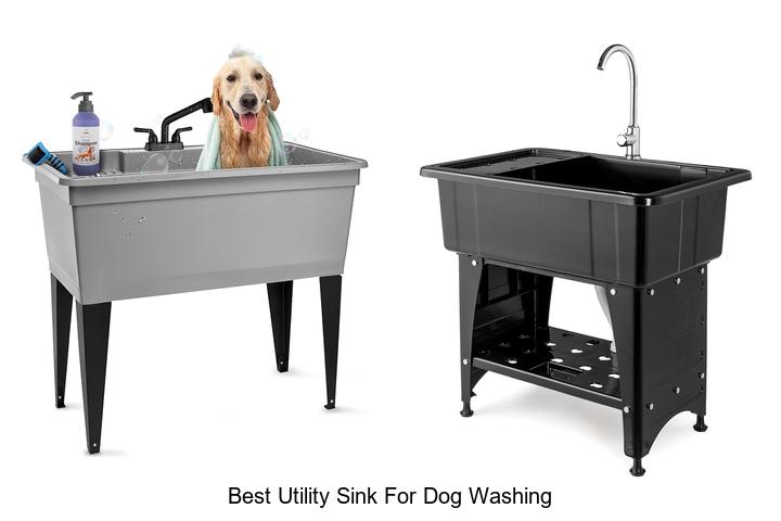 best utility sink for dog washing