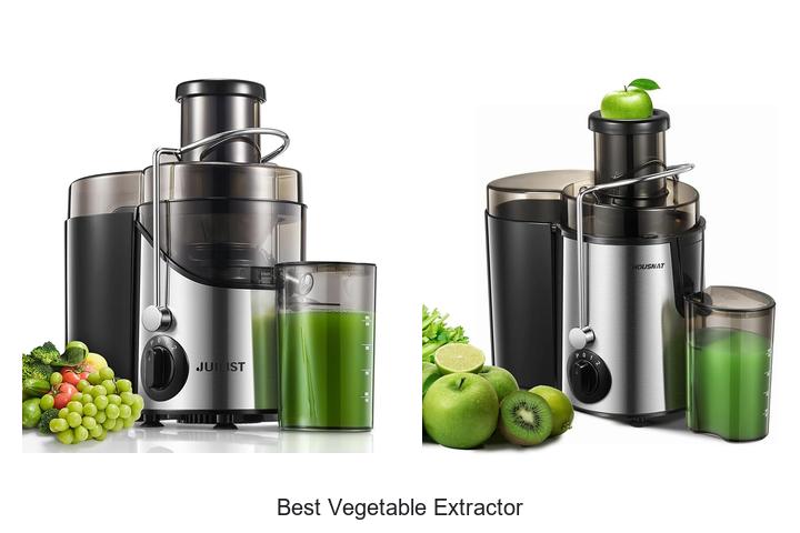 best vegetable extractor
