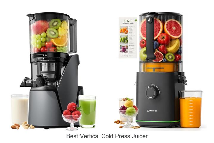 best vertical cold press juicer