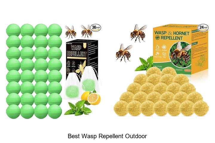best wasp repellent outdoor