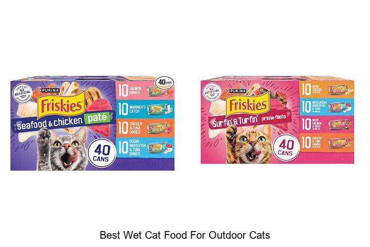 best wet cat food for outdoor cats
