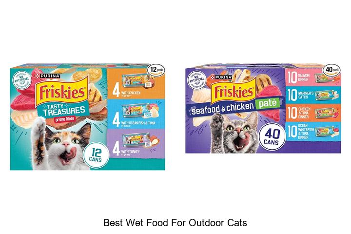 best wet food for outdoor cats
