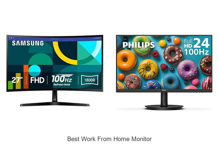 best work from home monitor