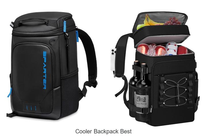 cooler backpack best