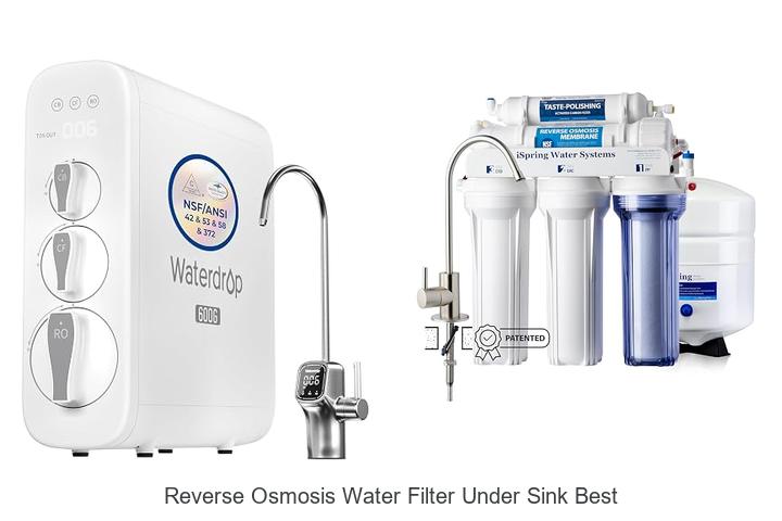 reverse osmosis water filter under sink best